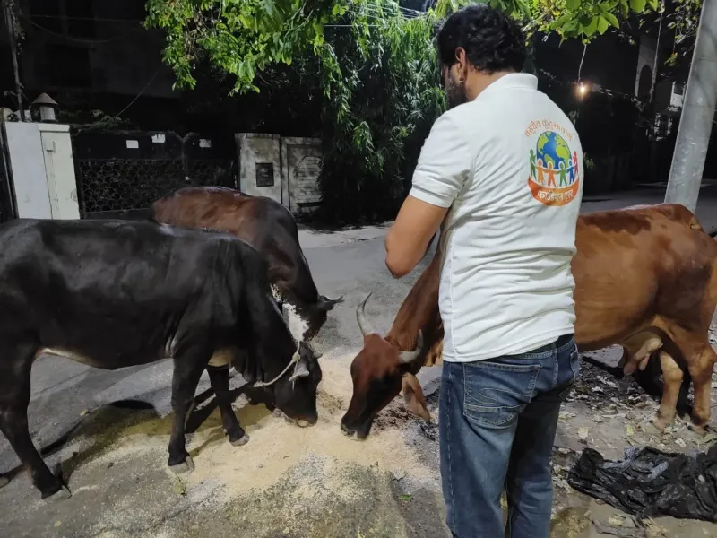 Sunday Bhandara – fresh cooked meals served to 1000+ people at holy spots